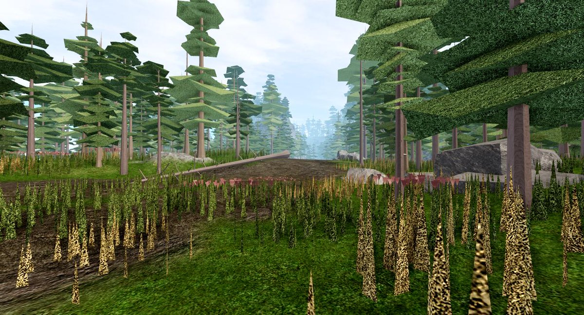 Brick Shift On Twitter Forest At Day Cause Why Not Roblox
