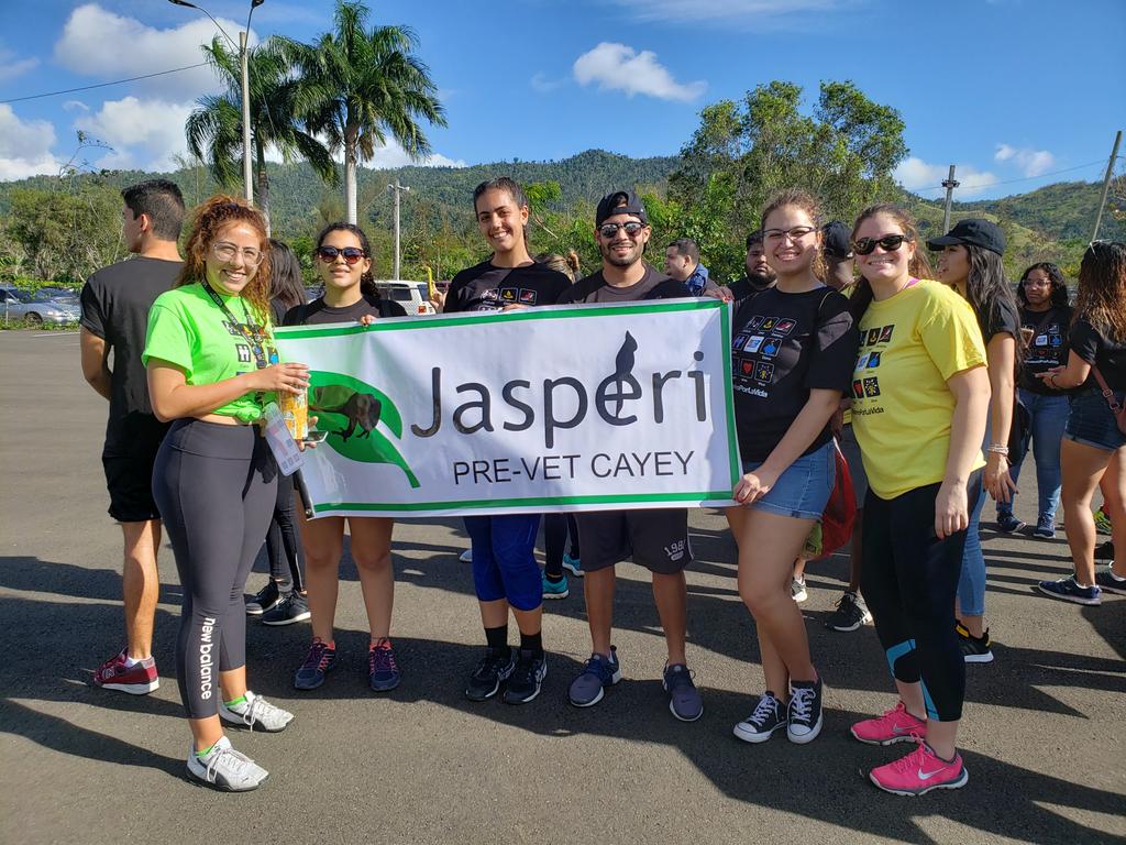 JasperiPreVet's tweet photo. Algunos de los Jasperianos que formaron parte del equipo Alianza Universitaria en el Relevo por la Vida en Cayey. Gracias a todos los que se dieron cita a este evento y aportaron su granito de arena para esta causa. 🍃💙 https://t.co/hQGYJVWAzT