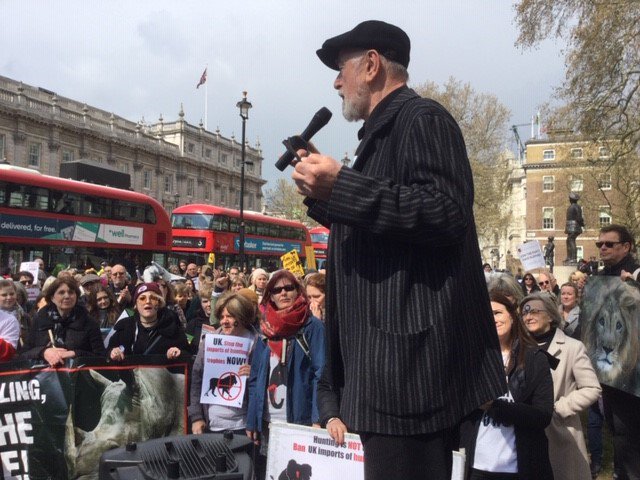 stae_elephants's tweet photo. Hugely respected animal warrior & great STAE Ambassador @PeterEgan6 grips a massive audience outside Downing Street with impassioned advocacy for the elephants and rhinos and the horrors or poaching and trophy hunting @rickygervais @marcthevet @BellaLack #MarchAgainstExtinction https://t.co/o5svGwMmIp