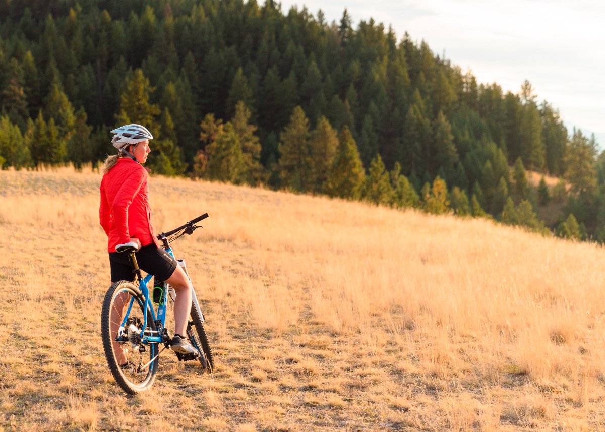 Mountain Standard tweet media