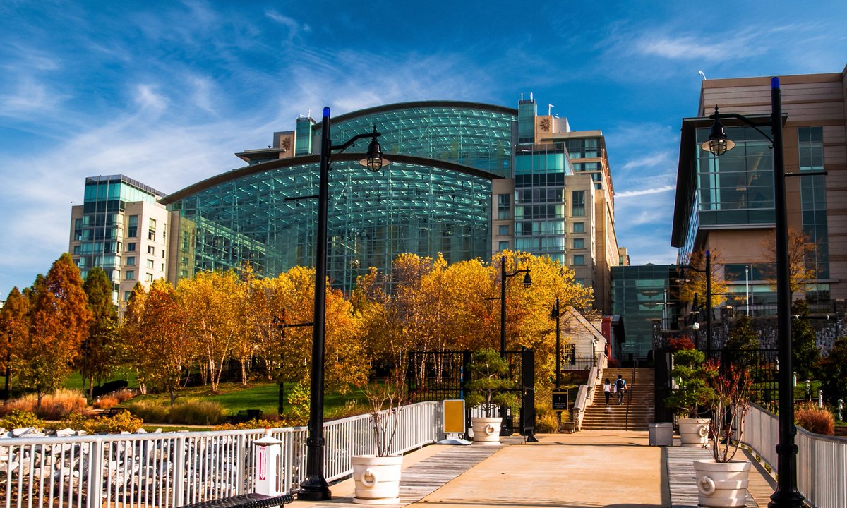ISMPP's tweet photo. The 15th Annual Meeting of @ISMPP officially starts tomorrow! Registration is open today from 3-5:30 pm in the Woodrow Wilson foyer, 2nd floor, Ballroom level, before this eveningโs Welcome Reception! All attendees are invited to join us! #ISMPP15AM https://t.co/x8Cbbw9mVl https://t.co/uw1NXX92Zg