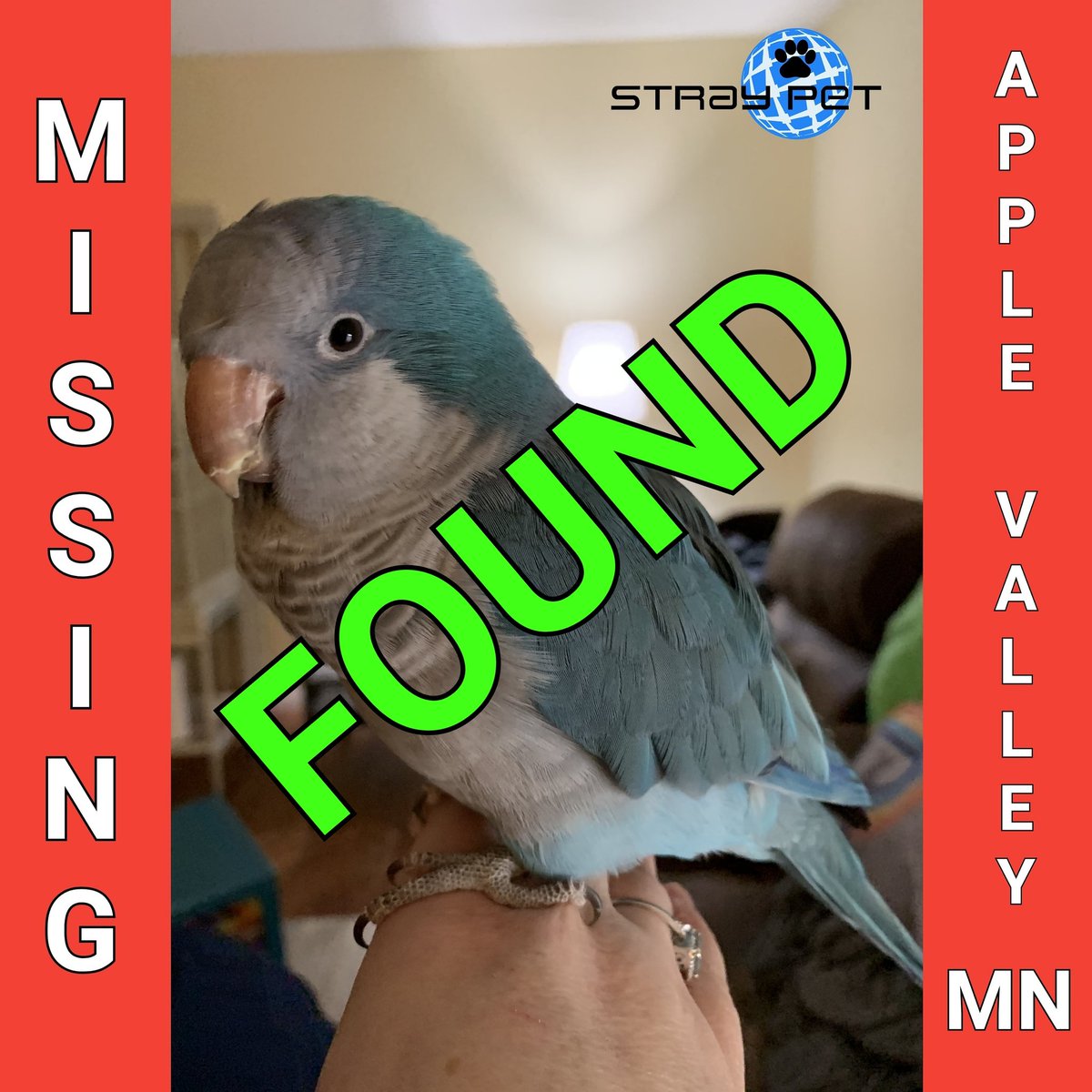 StraypetM's tweet image. Stray Pet Alert Cancelled! - Rashi has been found! (Apple Valley, MN 55124) #lostpet55124 #straypet #applevalley #Minnesota

straypet.net/stray-pet-aler…