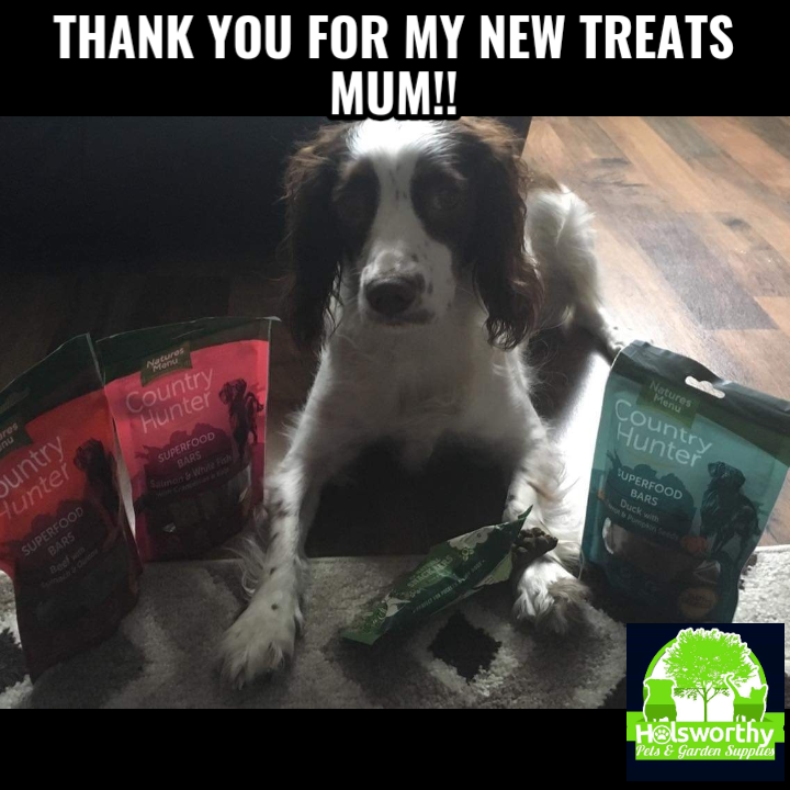 HolsworthyPets's tweet photo. #NaturesMenu #CountryHunter #LilysKitchen #DogTreats #Dogs #DogsOfInstagram #Dogstagram #Pets #PetsOfInstagram #Petsagram #ShopLocal #SupportLocal #LoveWhereYouLive #Bude #Holsworthy #HolsworthyPets https://t.co/tuCOUWvnmO