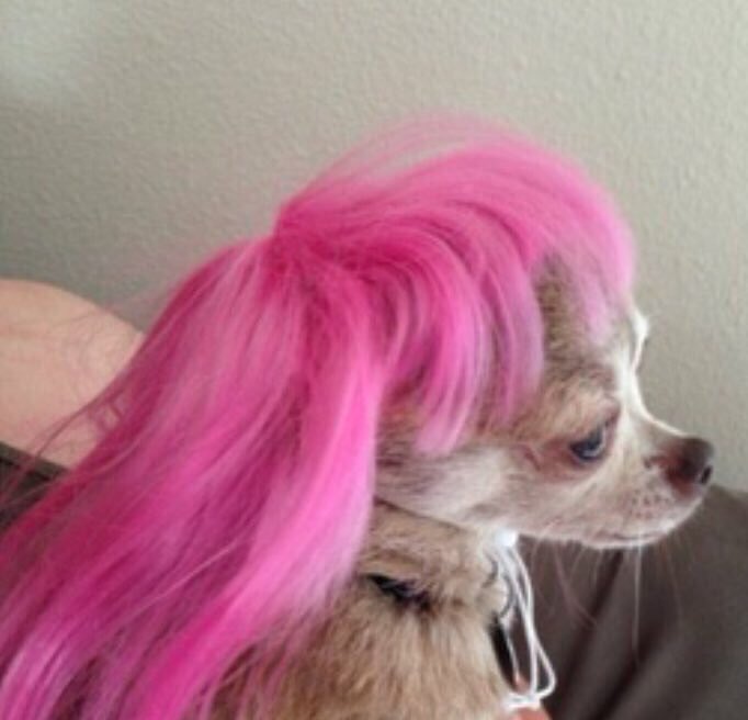 bestofsubmithub tweet media