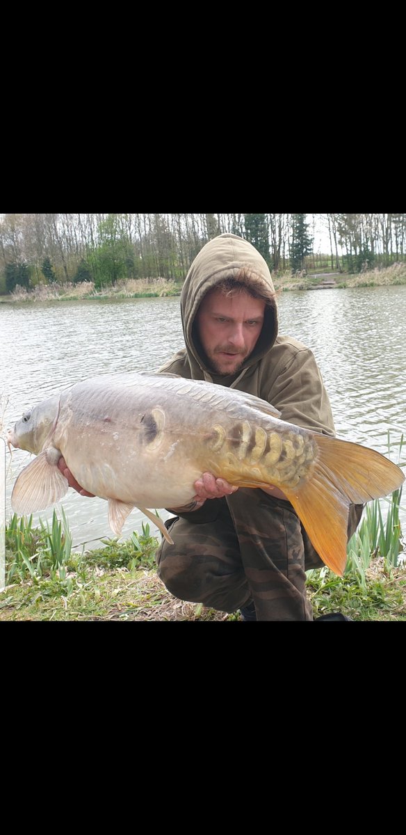 carpydan's tweet photo. Upper double mirror. 
Happy days. 
#carp #carpfishing #carpy #karpfe https://t.co/sPVfvGVRgq