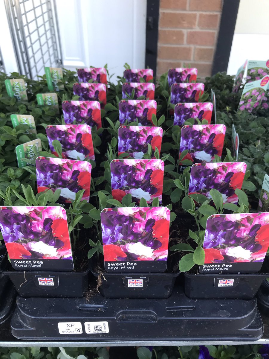 Bradlands Pet Supplies (BradlandsS) Twitter