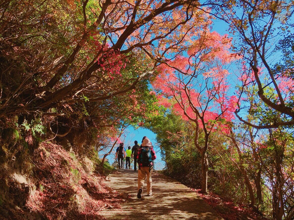FCU63208246's tweet photo. 本日、4月15日の昼休み
(12時30分〜13時00分)の間に
新入生に向けたキャンプ＆ハイキングサークルの説明会をします⛺️

少しでも興味のある人は
411号室に来てください〜🏃‍♂️

お菓子とジュースも用意してるのでみんなで楽しく話しましょう🏞

#キャンプ
#ハイキング
#めっちゃ楽しい
#春から福市 https://t.co/qWTyf0AlxJ