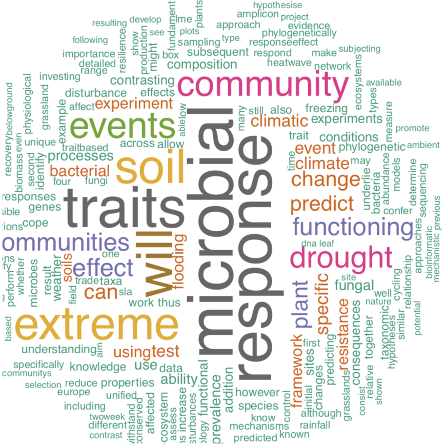 OceaneNicolitch's tweet photo. This Sunday I played with #WordCloud: my science project in one picture!
What do you think of the result?
#sciencecommunication #ClimateAction #microbialresponse https://t.co/J4JBGTLaxp