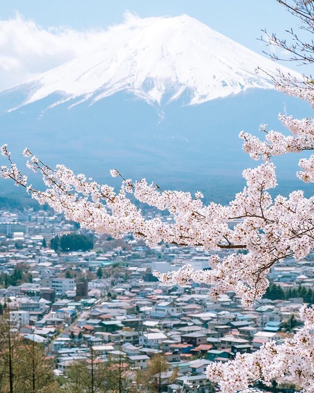 Time to go back to my second home - Tokyo! 🌸Who wants to tag along? Follow my food advanture on instagram stories for more! 私のストーリー楽しんでください！ ☺️| #hangrydiaryjapan #hangrydiarytravel
📍 Tokyo
📸 <a href="/micgovu/">Michael Vu</a> 📆4.5.2018