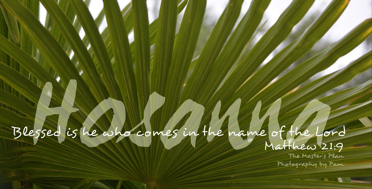 MastersPlan3's tweet photo. Starting Holy Week off with Palm Sunday Blessings to the King of Kings 🌴 #bibleverse #theMastersPlan #SundayMorning #SundayMotivation #PalmSunday #SundayThoughts #KingOfKings https://t.co/WUWjLiRV7w