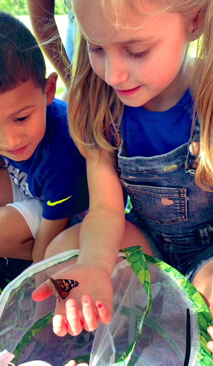 TaraHavard_'s tweet photo. All year I’ve watched my Kinders grow and change. Now, they are ready to fly! 🦋❤️🐛 @JennGRoach @cro https://t.co/yC6J2MPGBz