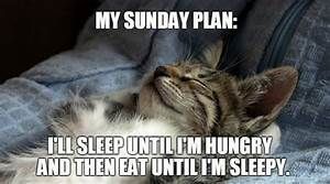 keto_mel's tweet photo. My Sunday Plan: I'll Sleep Until I'm Hungry and Then Eat Until I'm Sleepy
https://t.co/QgXriUg9p8
#KetoCoachingwithMel #sunday #SundayPlan #SundayFunday #Keto #Ketogenic https://t.co/fsOwISjPQP