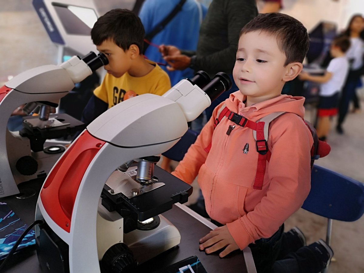puertodeideas's tweet photo. Los más pequeños disfrutan y aprenden junto a #PuertodeIdeasAntofa 💡
Hoy es nuestro último día los esperamos hasta las 16:30 horas en el #PaseoPorLaCiencia 😎 🚀🌞🔬🧬🔭🧪 https://t.co/yWdsmjMgBh