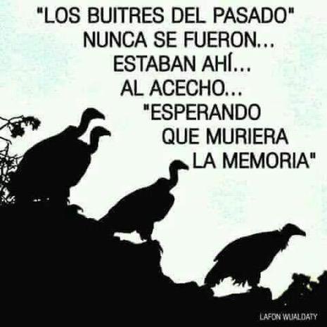 Tan solo corrupción, mediocridad y destrucción por doquier.
Ahora tocó el turno a Ley Orgánica de Educación Superior (LOES).
Bajan los requisitos para ser rector y profesor principal.
Lograrán nuevamente universidades de garaje y sin el más mínimo reconocimiento internacional.