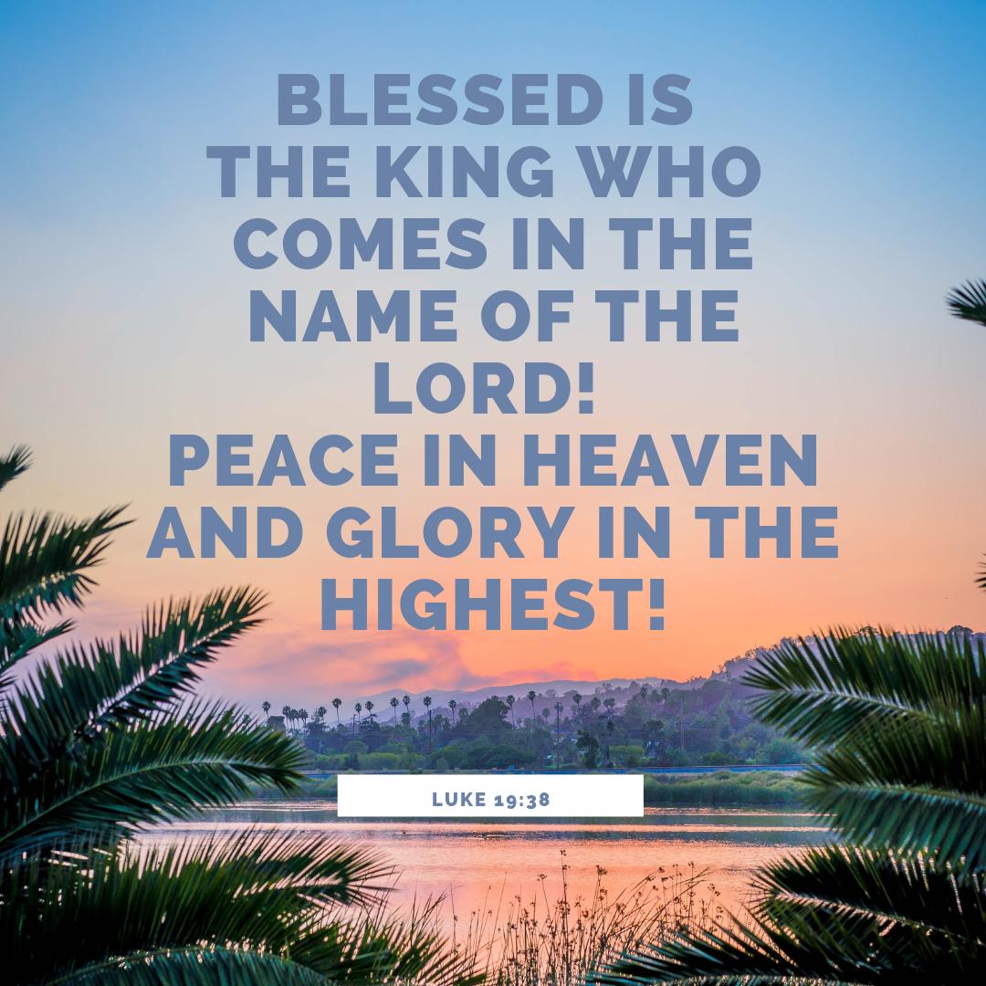 APU_CTLA's tweet photo. Wishing you a blessed Palm Sunday.

#palmsunday #luke19:38 #king #redemption #apu #azusapacificuniversity #iheartapu https://t.co/ZauvsCOkML
