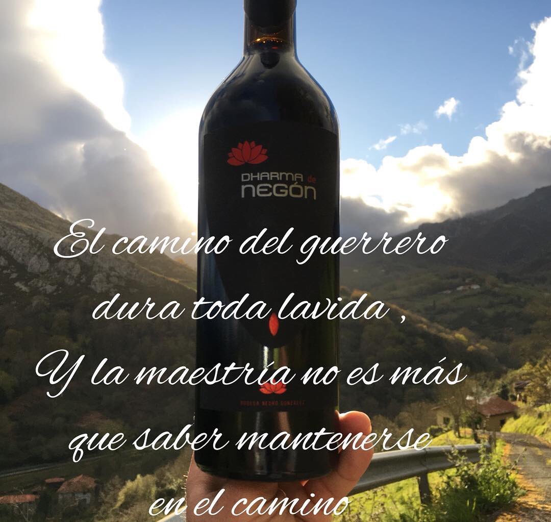 BodegaNegon's tweet photo. #lovemyjob #winelover #winetrips #biodynamicwines #quotes #frasesmotivadoras #picoftheday #sinfiltros #nofilter #qualitywine #wineworrior https://t.co/Swv0MbybPp
