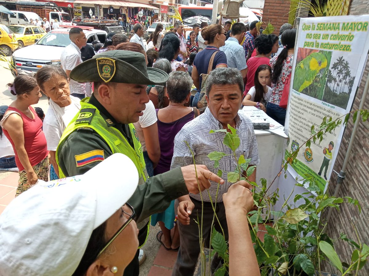 PoliciaStander's tweet photo. La #palmadecera se puede sustituir por palmas vivas, como la palma de areca en #Cimitarra que fue entregada a la comunidad incentivando la preservación del #Medioambiente #SemanaSantaSegura https://t.co/g0B2ofrIWn