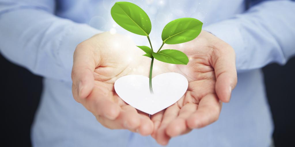 totalbiomass's tweet photo. #BIOMASS IS SUBSIDISED BY UK GOVERNMENT
The UK has a target to provide 15% #RenewableEnergy by 2020, bound by EU law to do so. It predicts most of the overall target will be met through renewable electricity. 
Subsidies are the main instrument used to try and meet this target. https://t.co/47RHxoGSVq