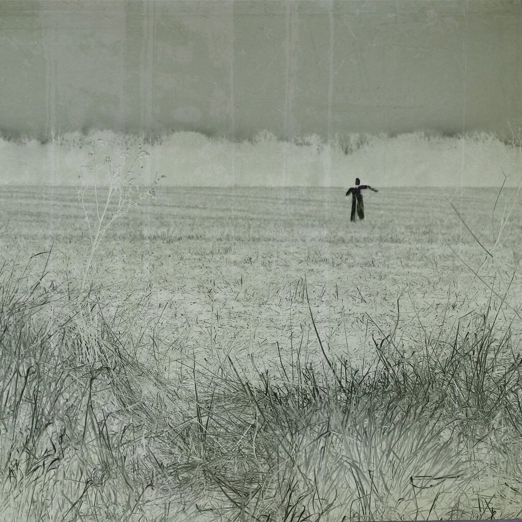 Dr Richard Fawcett tweet media