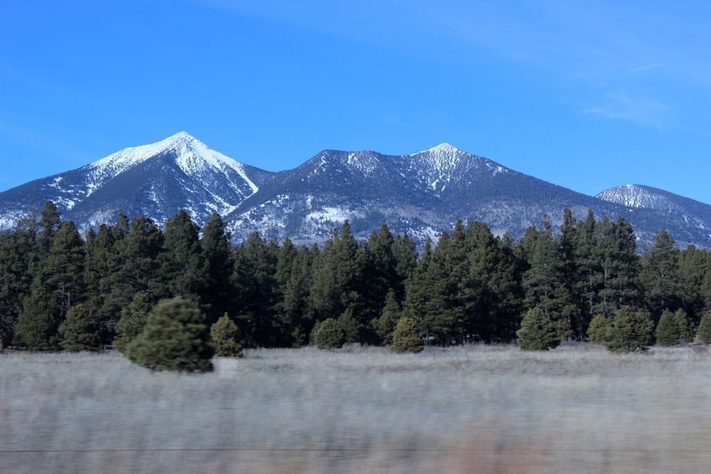 NAU's tweet photo. #Fact Our little mountain town has a lot to offer 👌 https://t.co/sIle5w94K1