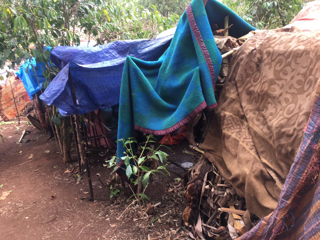 tigistkm's tweet photo. Let me spit out -untold stories of   #IDPs in Gedeio zone. #Gotiti - one of the IDPs sites, a very sad place where 50, 000 IDPs reside with no shelter, food, NFI and mobile clinic. They are in a total neglect- We can’t build our happiness in someone else’s pain. #handsontoGotiti https://t.co/Qe9cYNUDPS