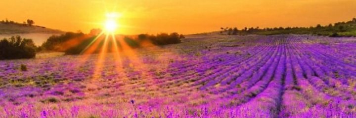 LAMOROCHA777's tweet image. Campaña para Hoy
"Mostremos y cuidemos la belleza del alma que es eterna, antes de elegir lo superfluo y pasajero"
#PoderDelAlma 🙌🙌
#HermosoDía 😊🌹🌻
#FelizDomingo 🌄🌞🏞️