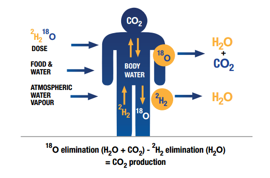 SerconLimited's tweet photo. Sercon supply 18O labelled water & deuterium oxide. We are the global representatives for Taiyo Nippon Sanso's 10At% and 98At% 18O labelled water.
#petstudies #energyexpenditure #obesity #isotopes #serconquality
Competitive prices guaranteed!
Contact sales@sercongroup.com https://t.co/wYd1A0Xfd6