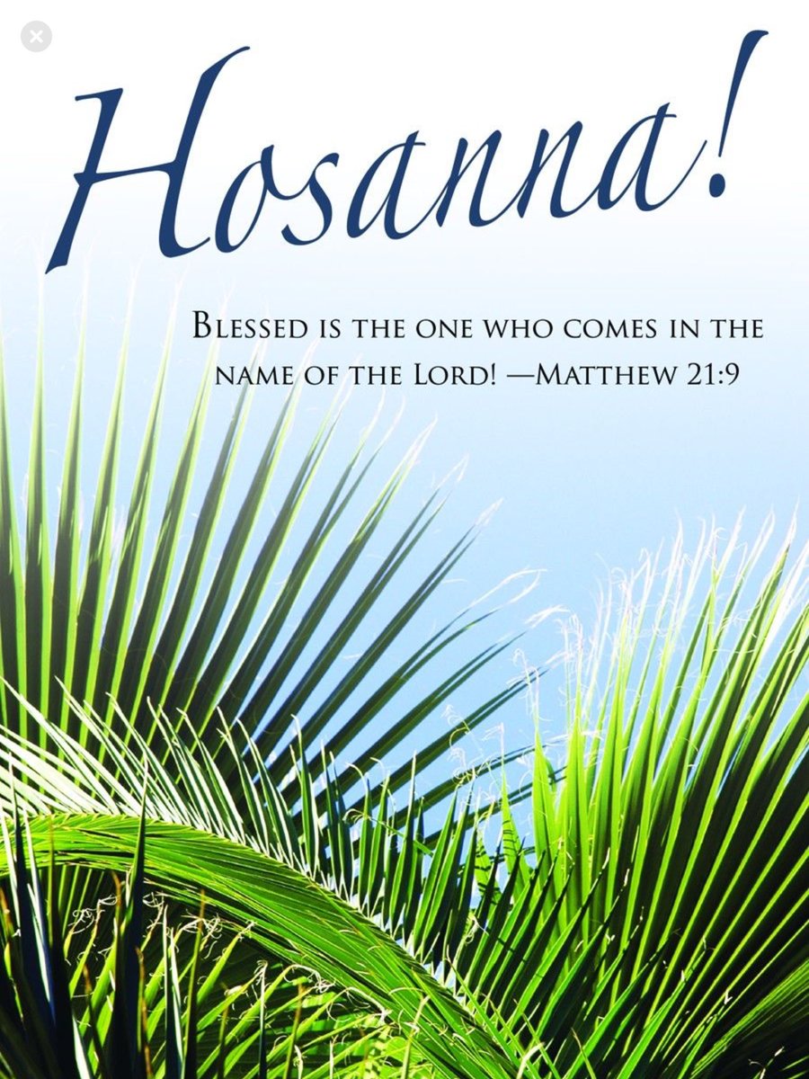 ACSTANews's tweet photo. As we enter into Holy Weeks, ACSTA would like to thank each and every person serving Catholic education. Faithfully serving in the footsteps of Jesus...you illuminate the path of faith for every student.  #IBelieveinCatholicEd https://t.co/5GAXav9aLI