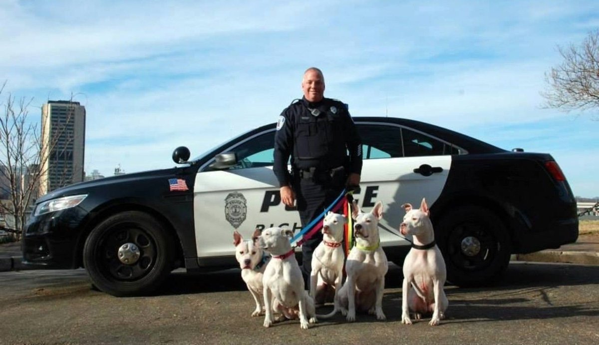 pitbullsad's tweet image. This officer rescued and adopted these beautiful doggies. What's so cool, they're all deaf. There is no such thing as a disability to dogs. They don't know they're supposed to be different. We could learn so much from man's best friend, as well as this nice policeman!