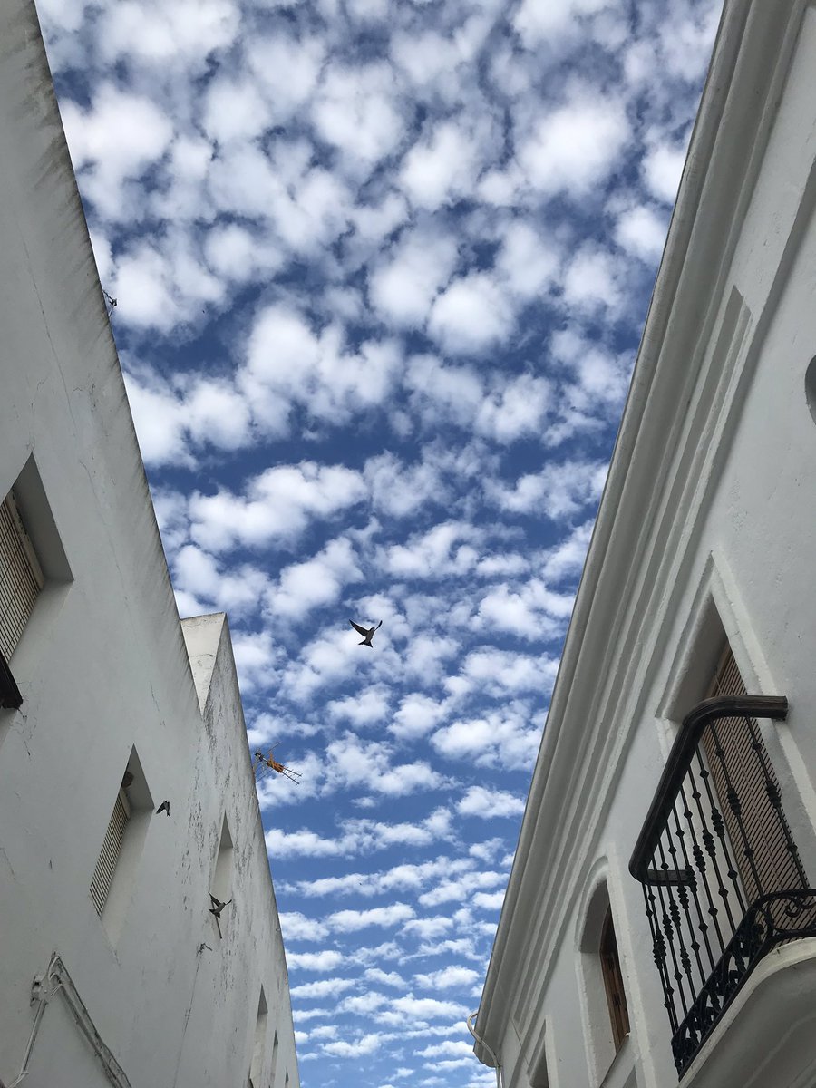 VejerAlquiler's tweet photo. @tiempobrasero cielo emborregado, algo de bochorno, tarde magnífica para pasear por Vejer de la Frontera https://t.co/m38Ip6NUp2