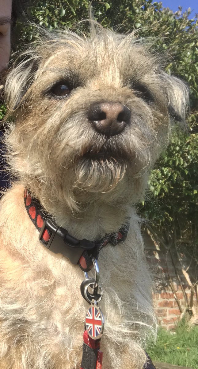 Happy got me day ! 7years ago ..... haven’t changed a bit - most beautiful Nell 😘😘😘#BTPosse