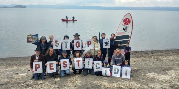 WWFitalia's tweet photo. Molte persone anche a Noci, in provincia di #Bari e a #Capodimonte , in provincia di #Napoli, hanno partecipato al flash mob del @WWFitalia per chiedere #StoPesticidi e di scegliere coltivazioni biologiche a @giamma71 @SergioCosta_min @GiuliaGrilloM5S e @sbonaccini https://t.co/05H8Xj4vwq