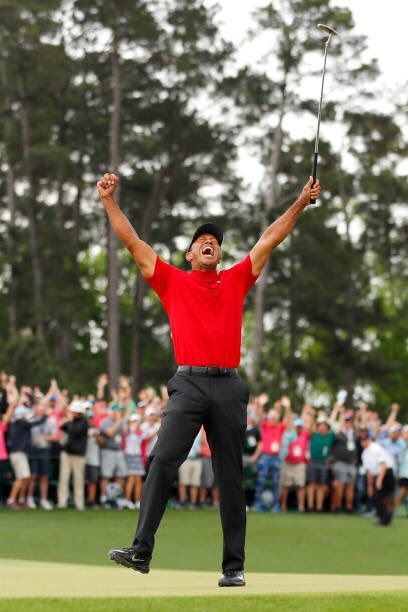 Tiger Tracker tweet media