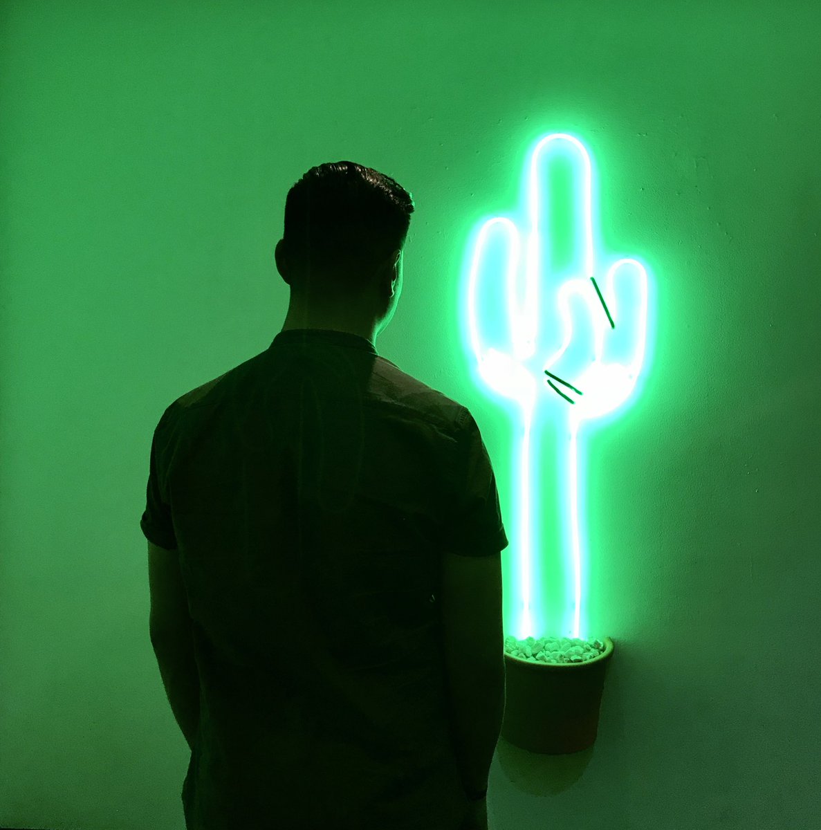 ravell's tweet photo. Something new on the way. Any guesses? 🌵💭 #CactusTalk https://t.co/eXjbYB4lDI