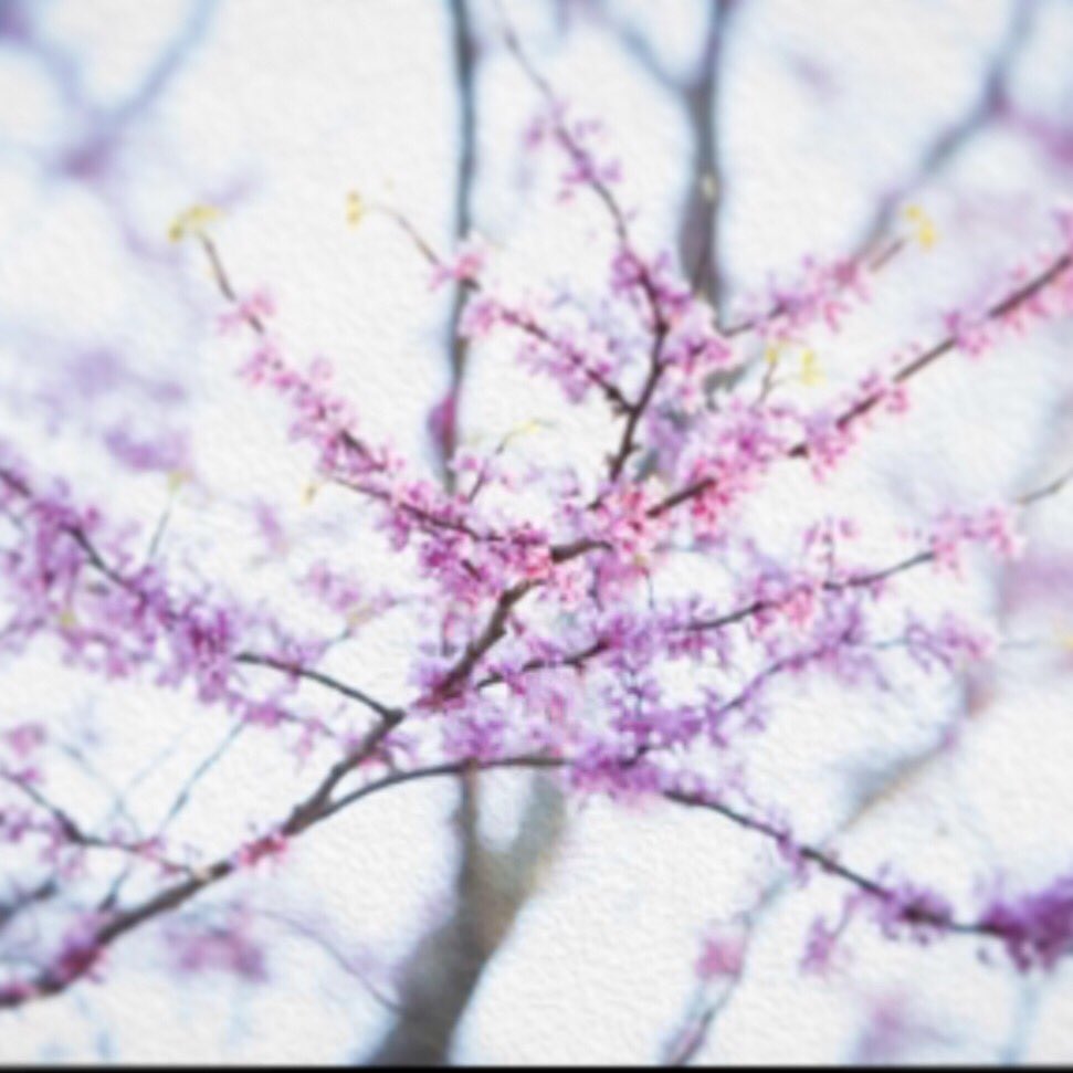 Finally Springtime 💕