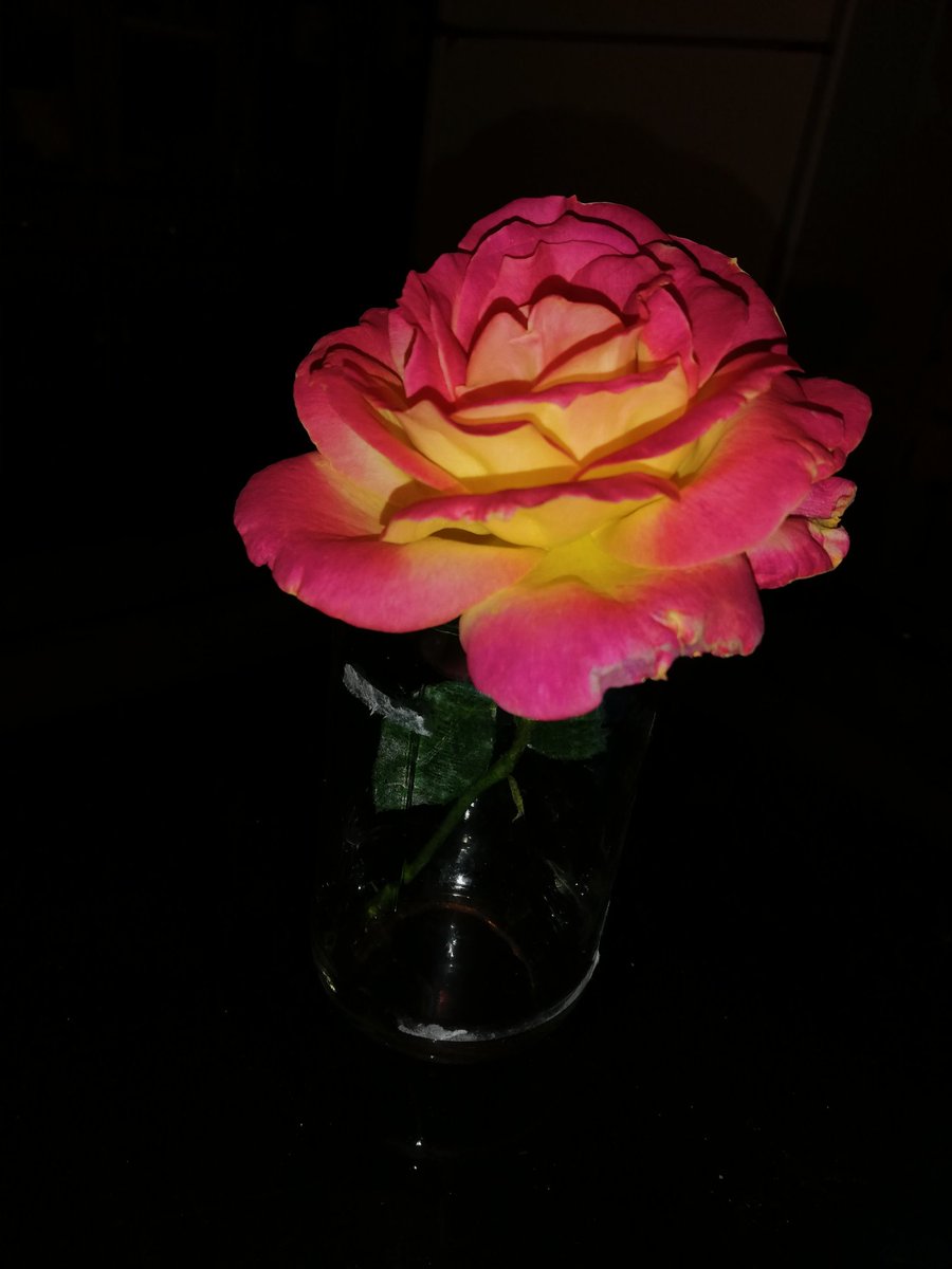 StephanyQuies's tweet photo. #flowers #jwcreation #nofilter #noedit #jw #roses #like4like #follow4followbacks #followme #Instagram
https://t.co/zESNKraMLP https://t.co/cxwC41Xtu5
