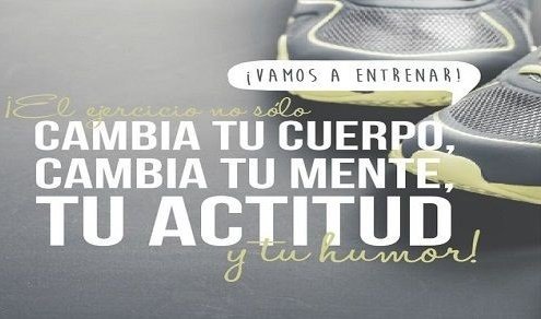 fitversidad's tweet photo. Hacer ejercicio y cuidar tu alimentación trae más beneficios que sólo un cuerpo bonito.
#paralochallenge #fitversidad #FelizDomingo #FinDeSemana #FitnessGoals https://t.co/gEKR8iomaR