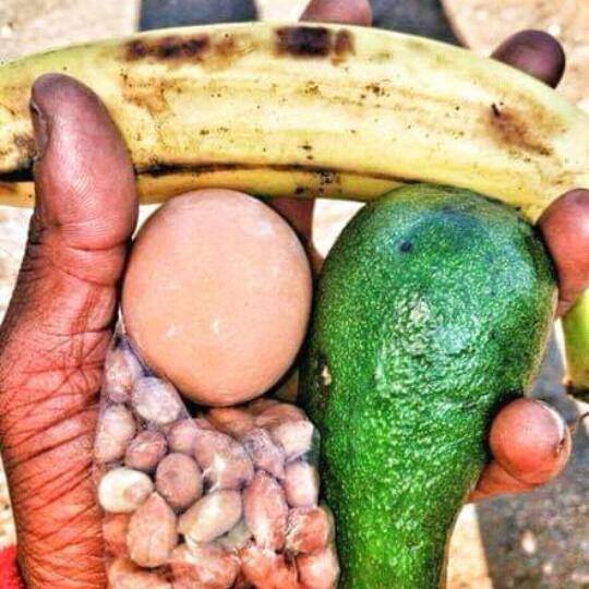 is_farming's tweet photo. When we say farming is life we mean this https://t.co/23cjnyGSWZ
