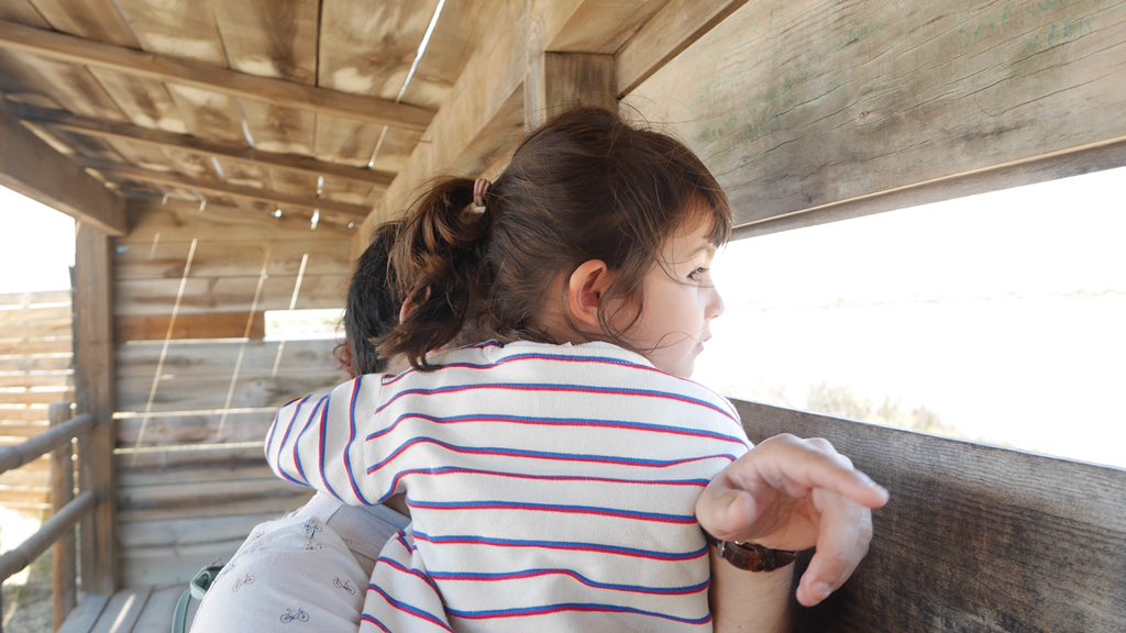 Avistando aves acuáticas en #Murcia #sanpedrodelpinatar #salinas