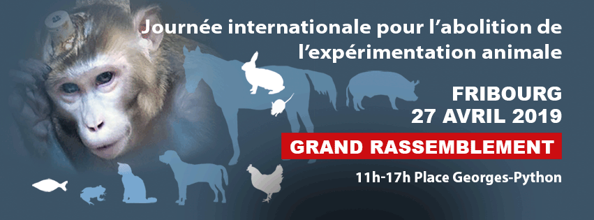 LSCV_Suisse's tweet photo. #EXPERIMENTATIONANIMALE #ABOLITION #VIVISECTION #SINGES
J-13 avant le Grand Rassemblement contre l'expérimentation animale à #Fribourg !
TOUTES LES INFOS >> https://t.co/MpjFh7lnJx <<
Venez nombreux-ses donner de la voix pour les #animaux !
#AnimalRights #Tierrechte #Tierschutz https://t.co/UaFCqSFAwj