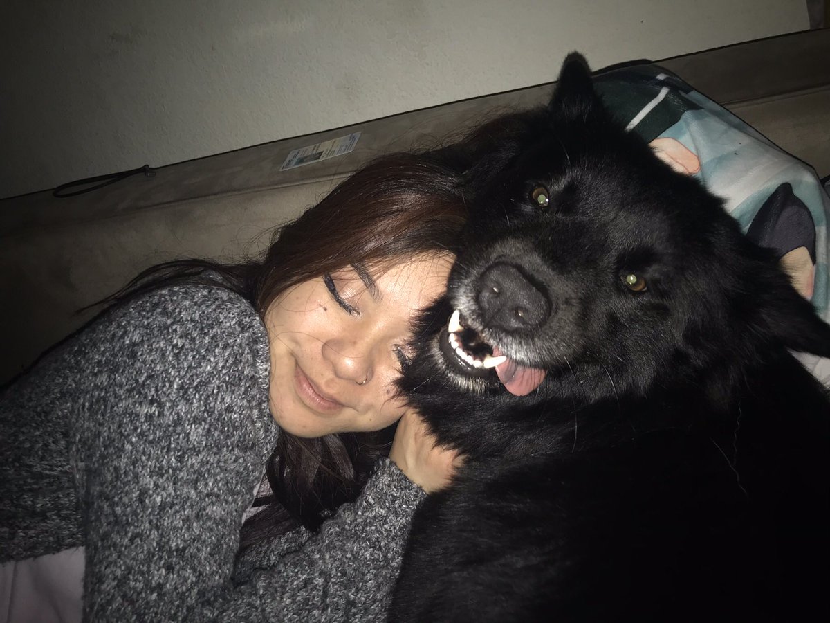 Jennytraan's tweet photo. luna buna the fat cow 🥰 https://t.co/eBXKyk7jTL