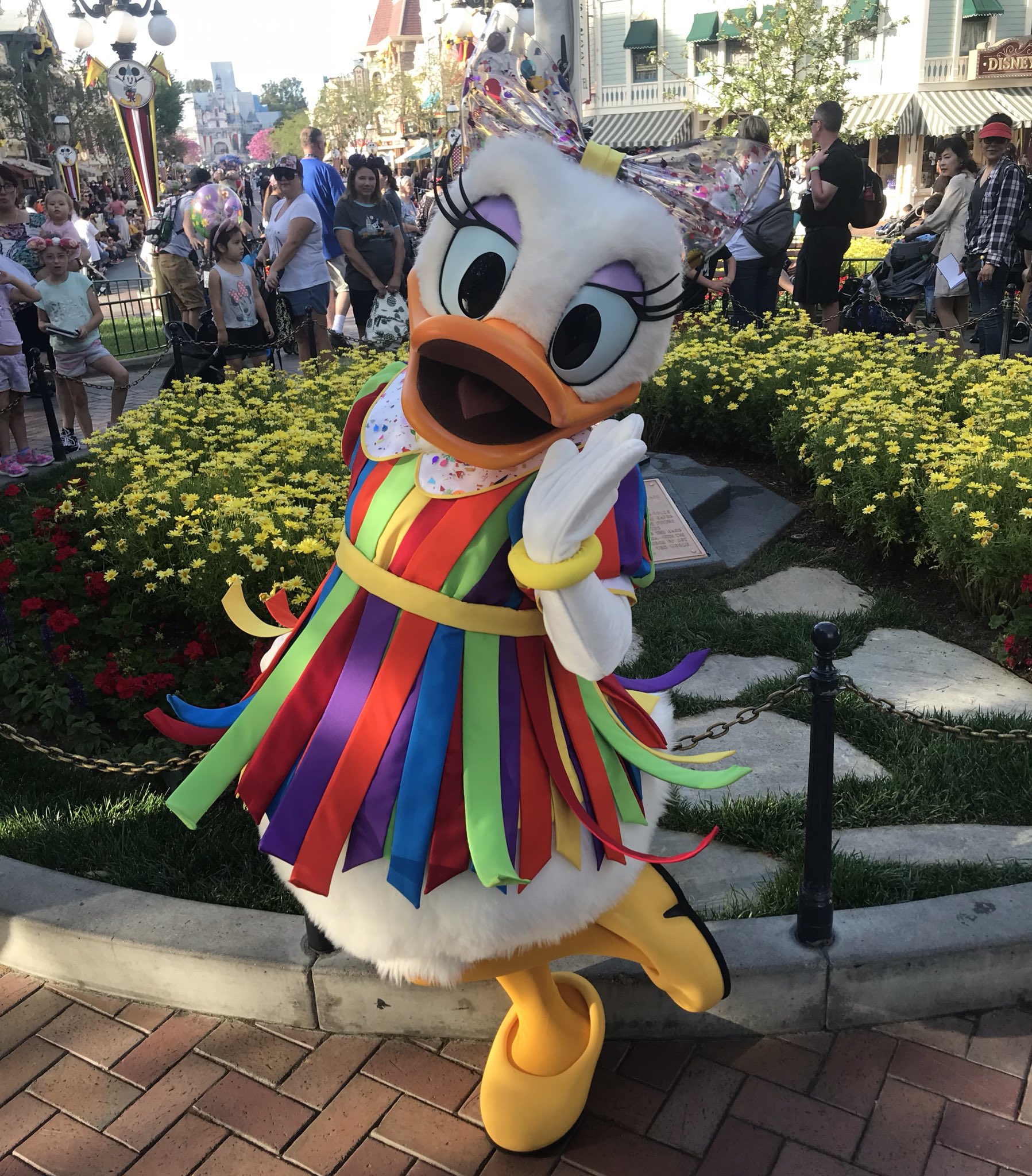 Twitter 上的 360 Of Disney It S A Party With Daisyduck At Disneyland Today Getyourearson Mainstreetusa Dlr Mickey90 Disneyducks デイジーダック Daisy T Co Fcfow7t0kq Twitter