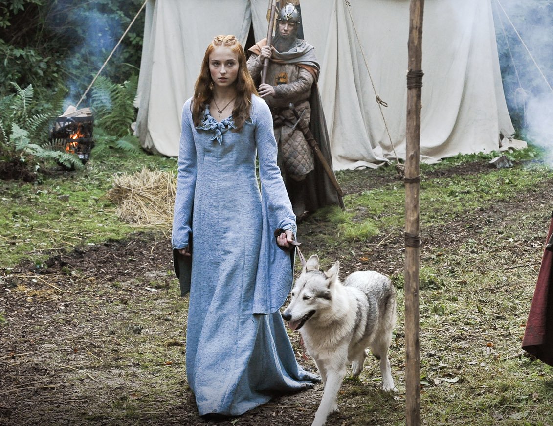 mental_floss's tweet photo. Sophie Turner adopted Zunni, the dog who played her direwolf Lady in #GameOfThrones. https://t.co/TSITIcgogf