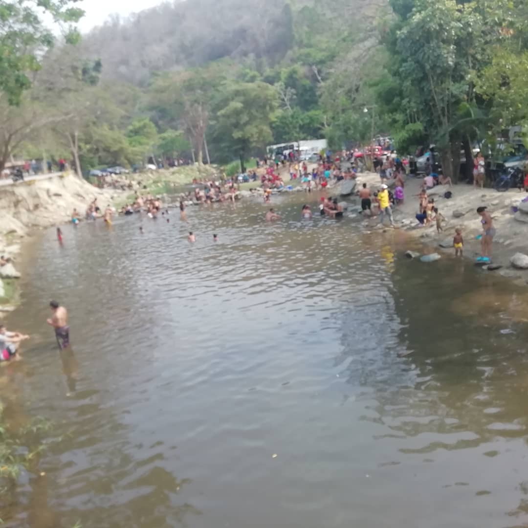 Joan Contreras tweet media