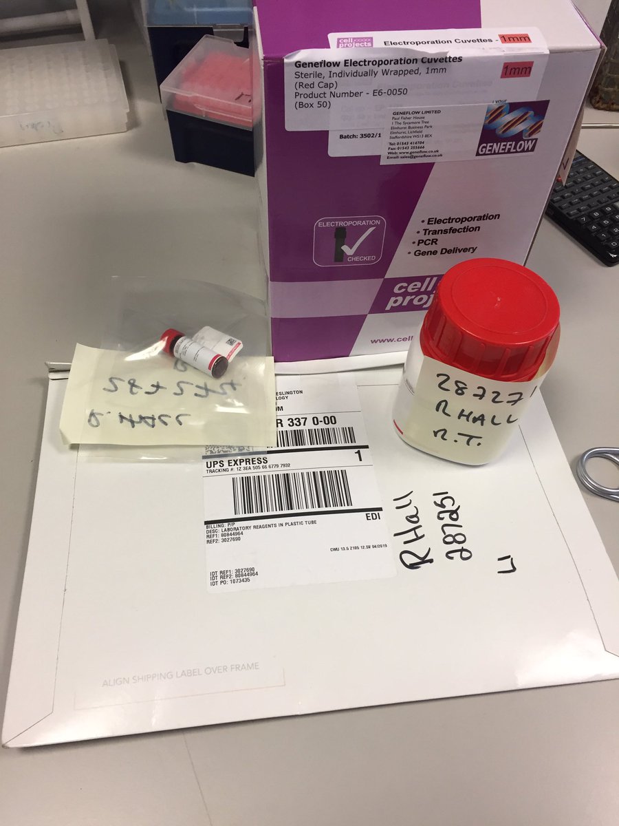 DrRebeccaJHall's tweet photo. When you go away for a week... #basicallychristmas #phdlife https://t.co/y5LnSUQcOW