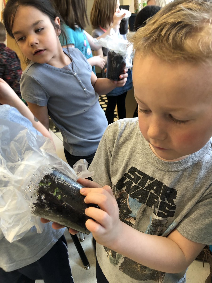 LaabsTara's tweet photo. Growing is our theme..... my Kโs, our seeds, and our chicks!๐ฉโ๐งโ๐ฆ๐ฃ๐ฑ #Kinderchat #weareexciteditsspring #demdelights #elcpride https://t.co/3028fEwraK