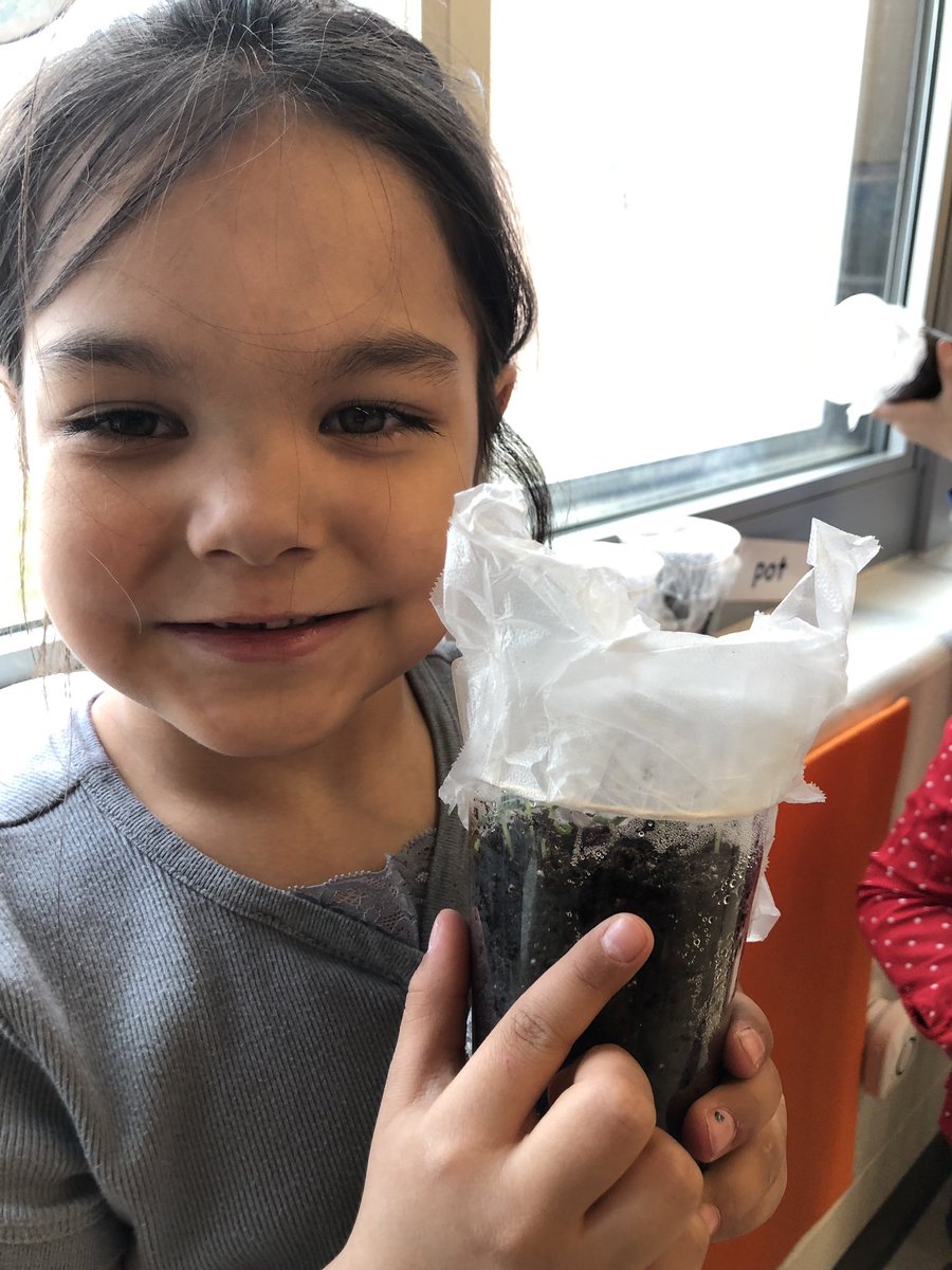 LaabsTara's tweet photo. Growing is our theme..... my Kโs, our seeds, and our chicks!๐ฉโ๐งโ๐ฆ๐ฃ๐ฑ #Kinderchat #weareexciteditsspring #demdelights #elcpride https://t.co/3028fEwraK