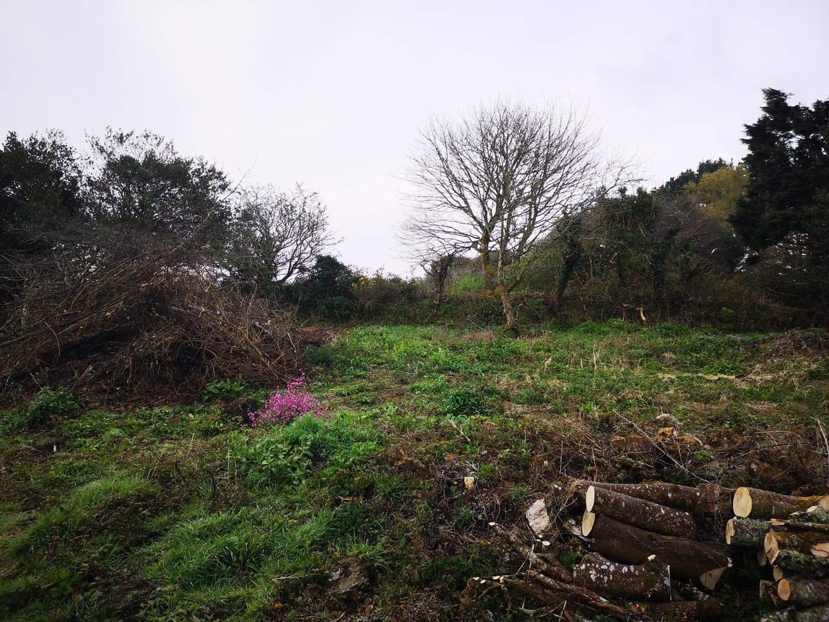 CnGroundworks's tweet photo. Hope everyone’s had a great weekend! We spent most of our week in Helston, levelling out and reclaiming a clients overgrown land. 
Here’s a few before and afters. Shout out to Jbplantsouthwest for supplying the digger 🤟
#cngroundworks #groundworks #helston #cornwall #landscaping https://t.co/Iq4Axptjy2