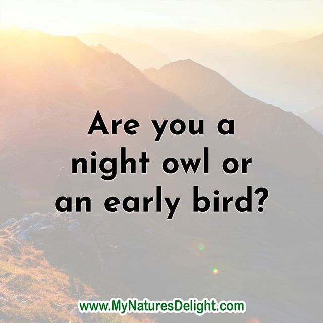 Happy Sunday! The first day of the week and the question of the day is: Are you a night owl or an early bird? Like, Comment & Share! 
My Nature's Delight 'Committed to Your Wellness' 
#greatness #committedtovision #earlybird #nightowl #mynaturesdelight bit.ly/2X8xa2l