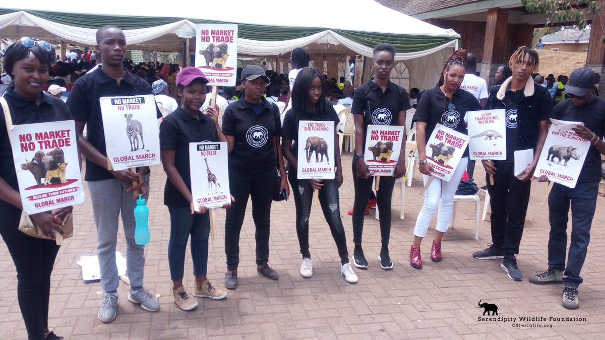 CSIWildlife's tweet photo. Our Serendipity Wildlife Foundation volunteers in Kenya proudly participating in the Global March for wildlife yesterday in Nairobi, Kenya.  Over 3000 volunteers comprising mostly of youth marched 10km to get the simple and clear message out "NO MARKET, NO TRADE". https://t.co/IWXoVWz4MH